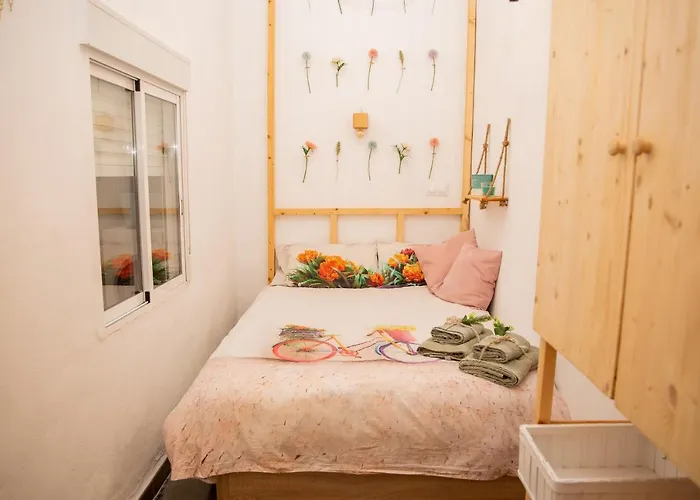 Pet friendly Manaloft Luminoso Y Diseno-Alicante Centro