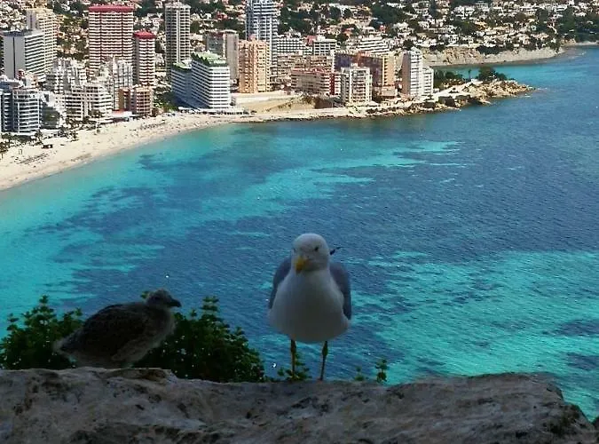 Pet friendly Voramar Apartment Calpe