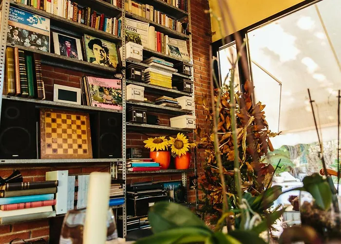 Cabin Rentals in Alicante